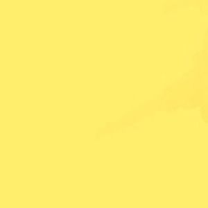 Meet your Posher, Ananya